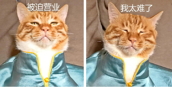 中央美院“學(xué)士服”美上熱搜！網(wǎng)友：這是什么神仙設(shè)計？