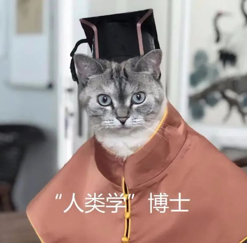 中央美院“學(xué)士服”美上熱搜！網(wǎng)友：這是什么神仙設(shè)計？
