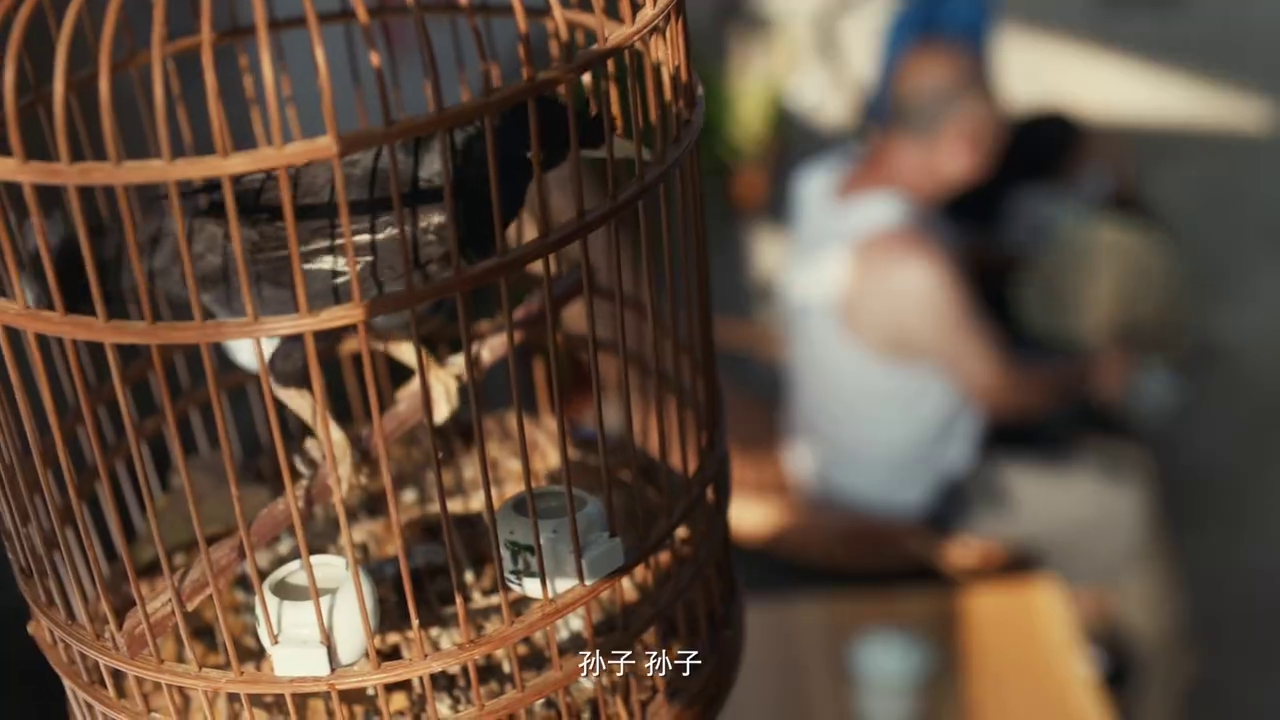 寶潔攜手墨跡天氣推出生活天氣預(yù)報，拯救生活熱情暴跌的你