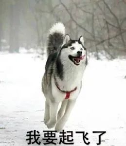 我們的目標(biāo)是，提高品牌有效的曝光！