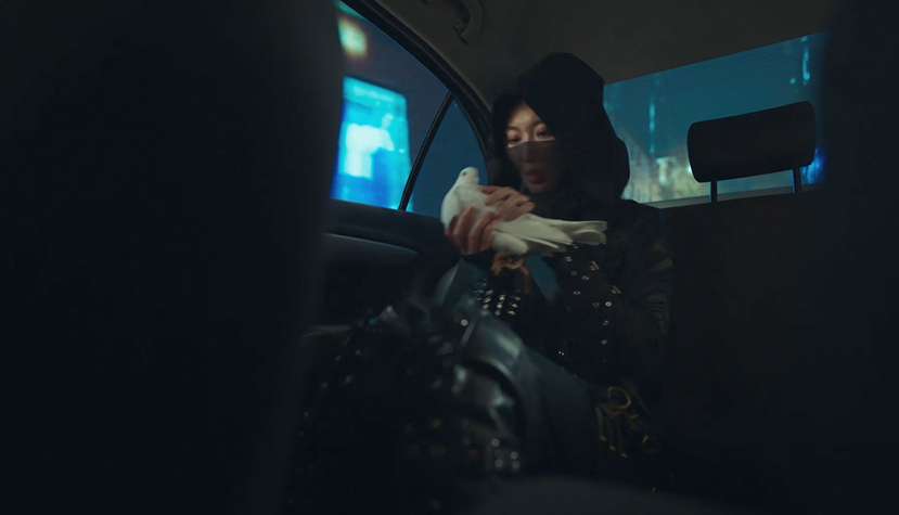 最年輕的“三金影后”周冬雨又拍新片，這次她演什么？