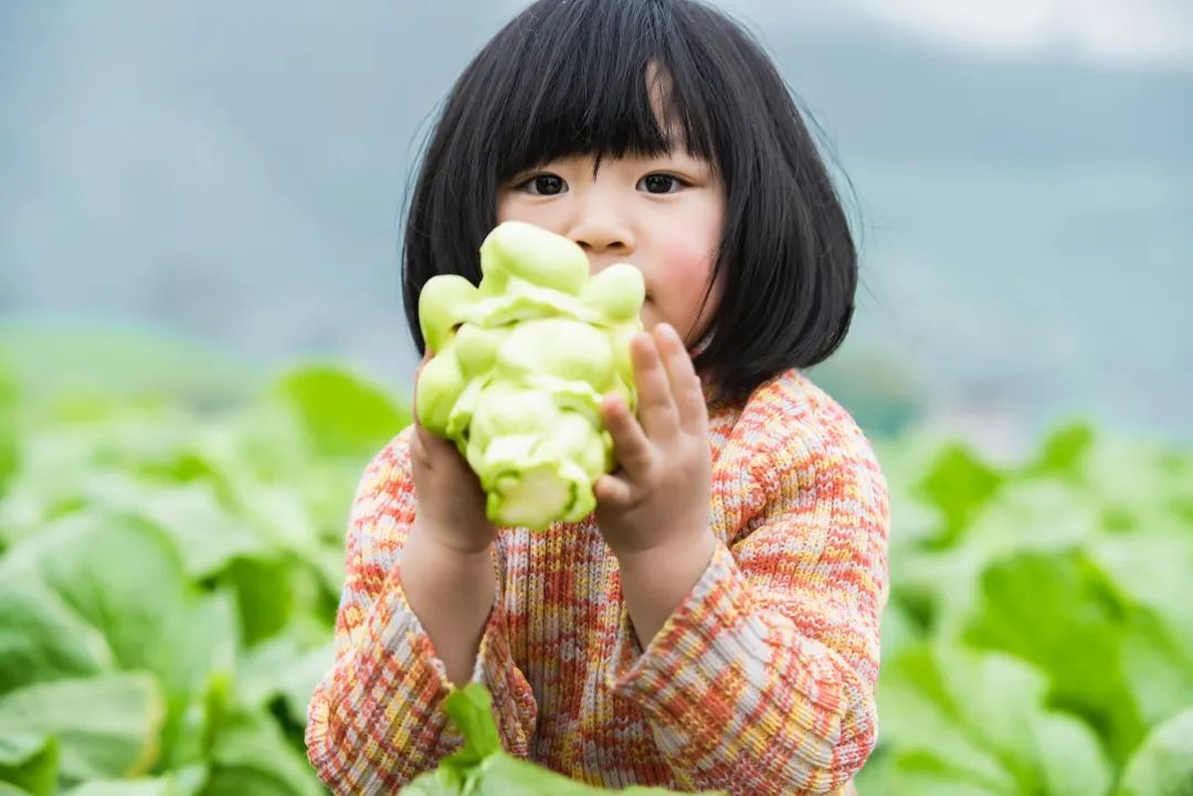 中國國家地理為《烏江》拍紀(jì)錄片，探索一包榨菜的前世今生