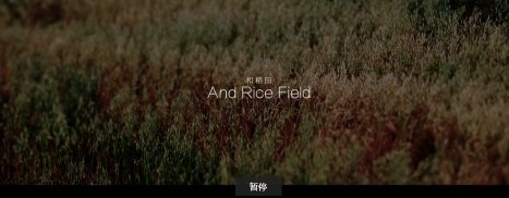TVC  網(wǎng)絡(luò)短片 細 現(xiàn)代簡約 《實驗短片》.png