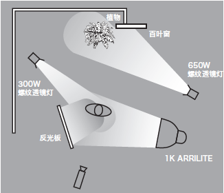 11種基礎打光方法，讓我們在打光的道路上走的更堅實！