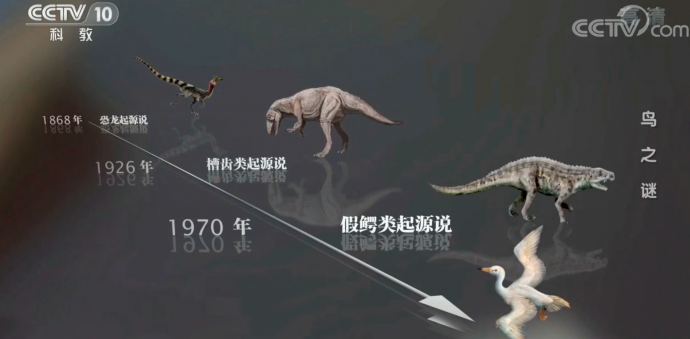 紀錄片拍攝，畫面上都應該做哪些思考？——《百年地理大發(fā)現》幕后故事之專訪攝影師辛春風