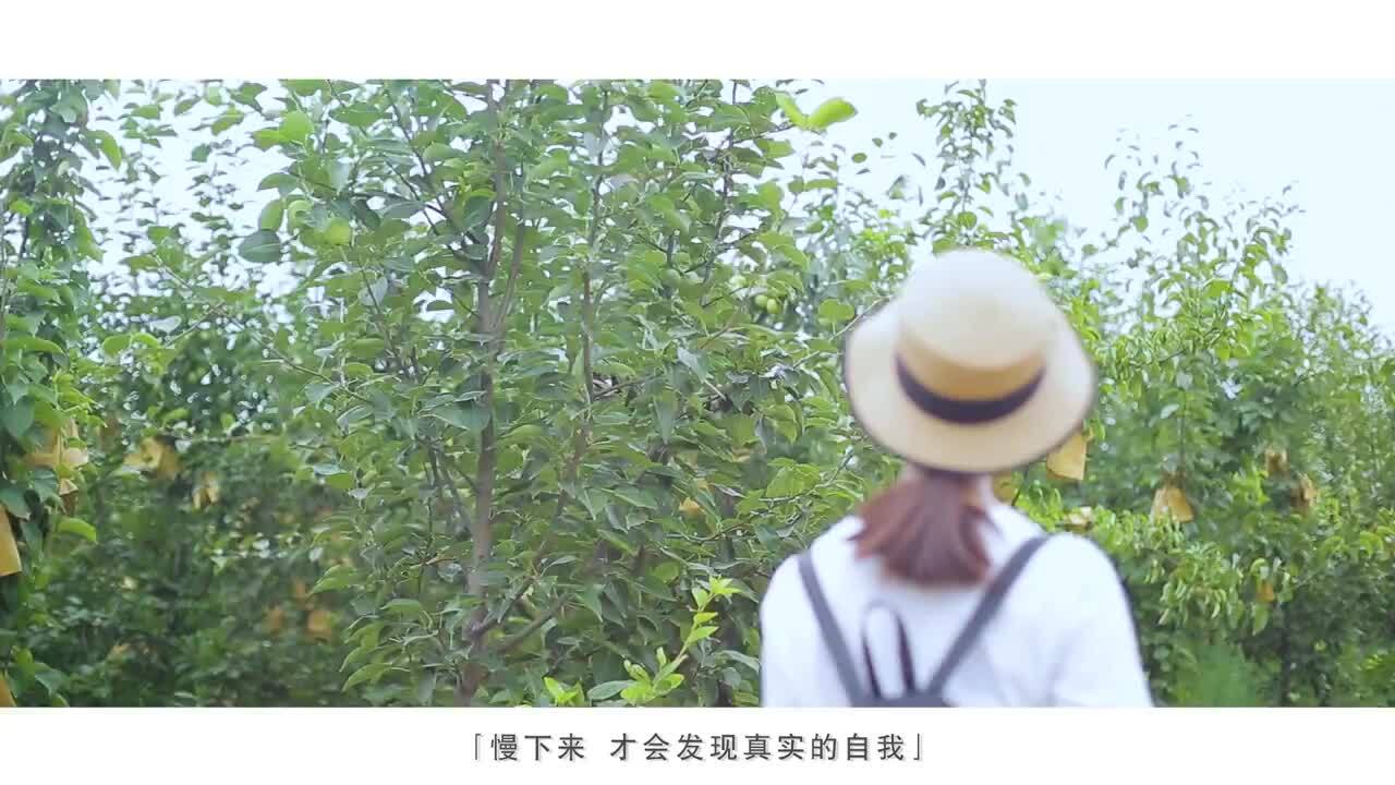 封丘城市宣傳片《時(shí)光在左，你在右》