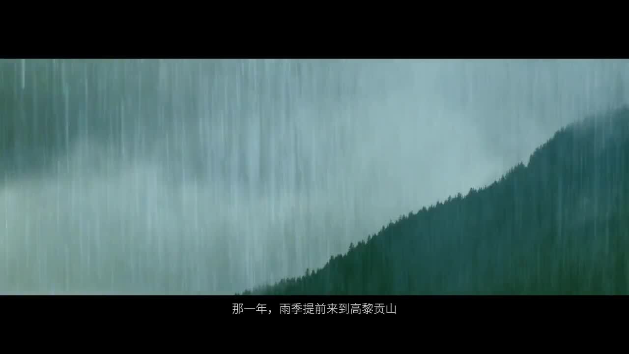 擁抱生命印記，致敬寶曦女性|俞飛鴻篇