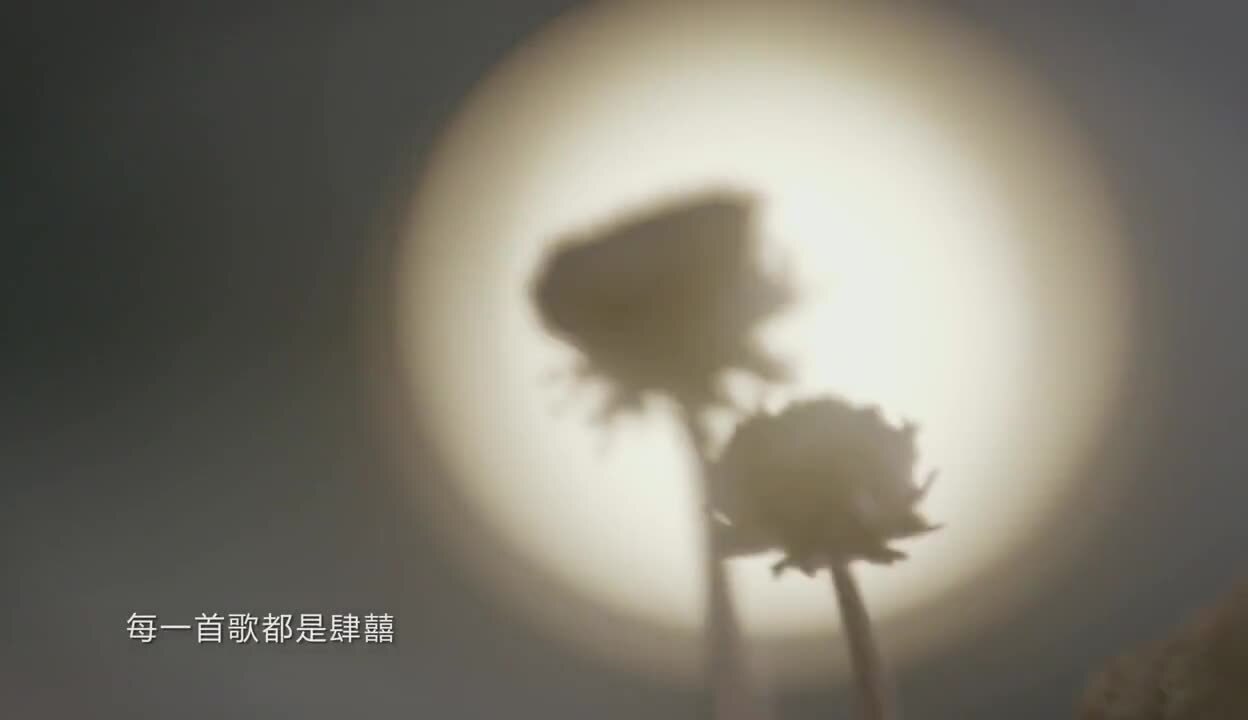 江蘇衛(wèi)視《中國(guó)樂(lè)隊(duì)》肆囍樂(lè)隊(duì) 宣傳片