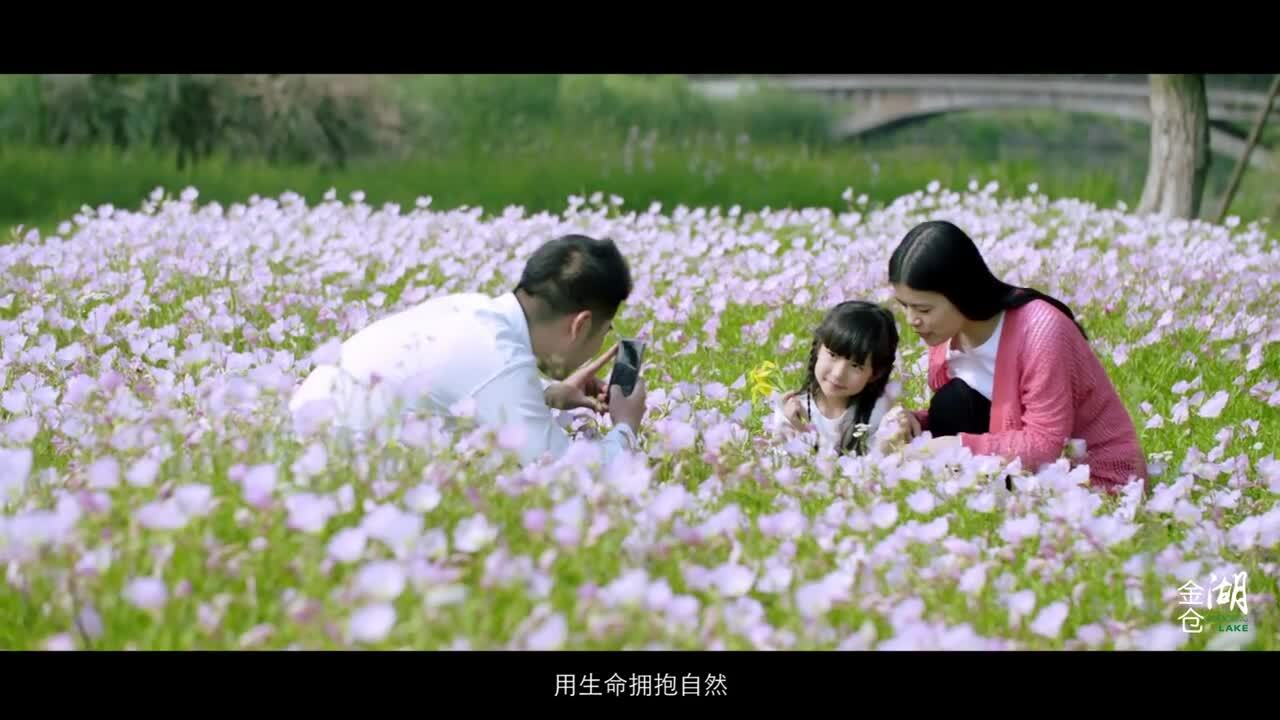 醉美金倉(cāng)湖，養(yǎng)怡新境界。