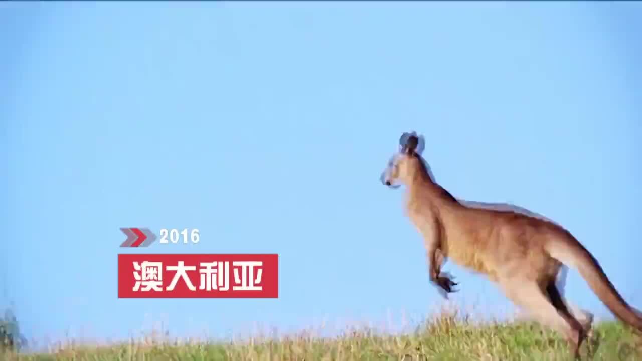 《帶著爸媽去旅行》江西衛(wèi)視 預告片